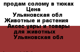 продам солому в тюках › Цена ­ 25 - Ульяновская обл. Животные и растения » Аксесcуары и товары для животных   . Ульяновская обл.